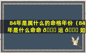 84年是属什么的命格年份（84年是什么命命 🐟 运 🐛 如何）